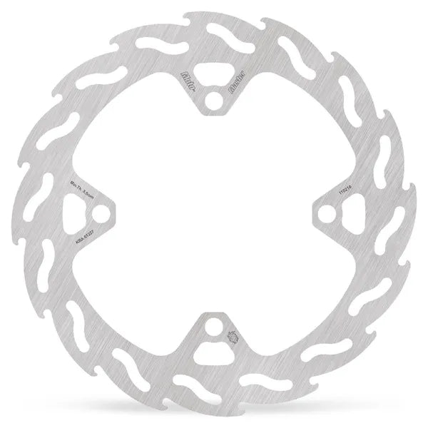 BRAKE DISC FLAME REAR